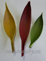 Coco medium barvené 20-30cm