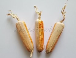 Kukuřice umělá 15cm