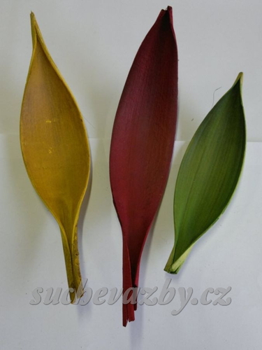 Coco medium barvené 20-30cm