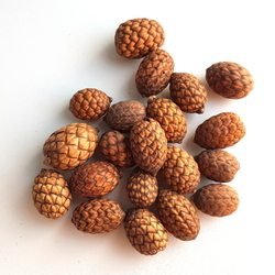 Cane fruit natural