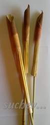 Assegai na stopce