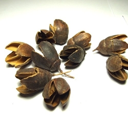 Bakuli loose natural
