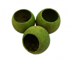 Bell cup mini barvený