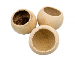 Bell cup mini barvený
