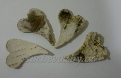 Srdce bříza  oblouk  6cm