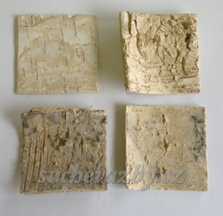 Pláty bříza 10x10cm
