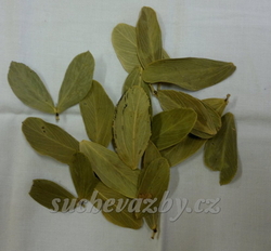 Cabo leaves natural