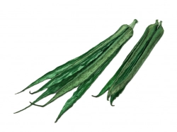 Lady fingers barvené