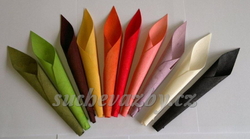 calla small kornoutky