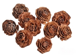 Cedr rose natural