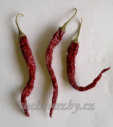 Chilli large red 