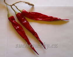 Chilli paprika papírová 