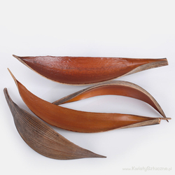 Coco medium natural 20-30cm 