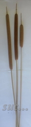 Doutník natural