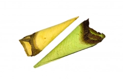 Kornout dřevo barevný 10-13cm