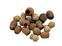 Eucalyptus belgum loose natural 5ks