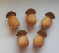 Hřib semiš 3,5cm