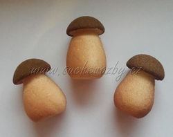 Hřib semiš 5cm