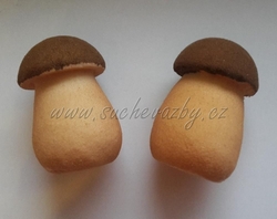 Hřib semiš 7cm