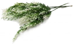 Jalovec větev 47cm