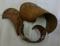 Elephant ear pod natural