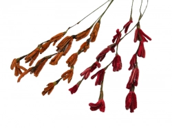 Makaralina barevná 25cm