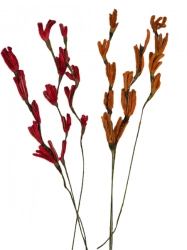 Makaralina barevná 25cm