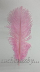 Pštrosí peří 30-35cm