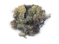 Islandský mech natural 50g