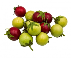 Rajče umělé 4cm