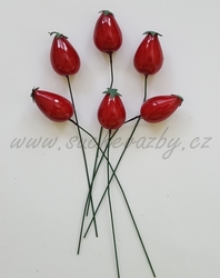 Šípek velký 2,5cm