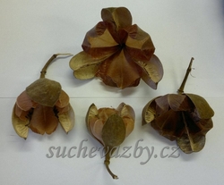 Rosa Tefe natural