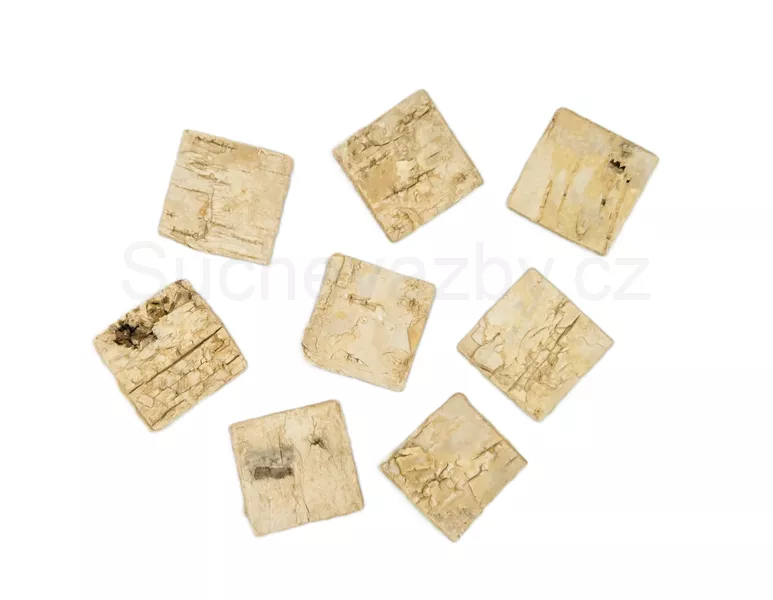 Pláty bříza 5x5cm 5ks