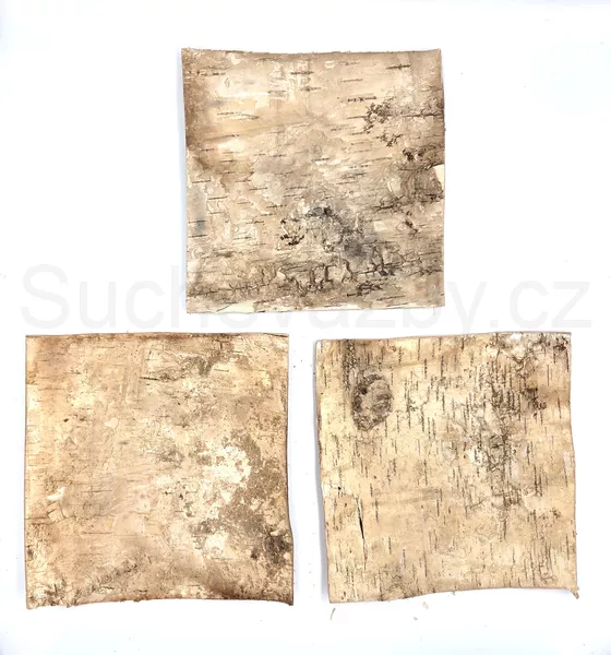 Pláty bříza 10x10cm 