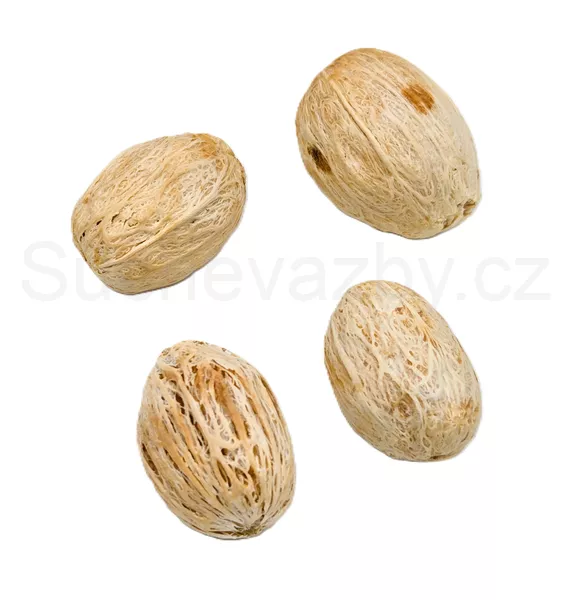 Amra pod bělená 5ks