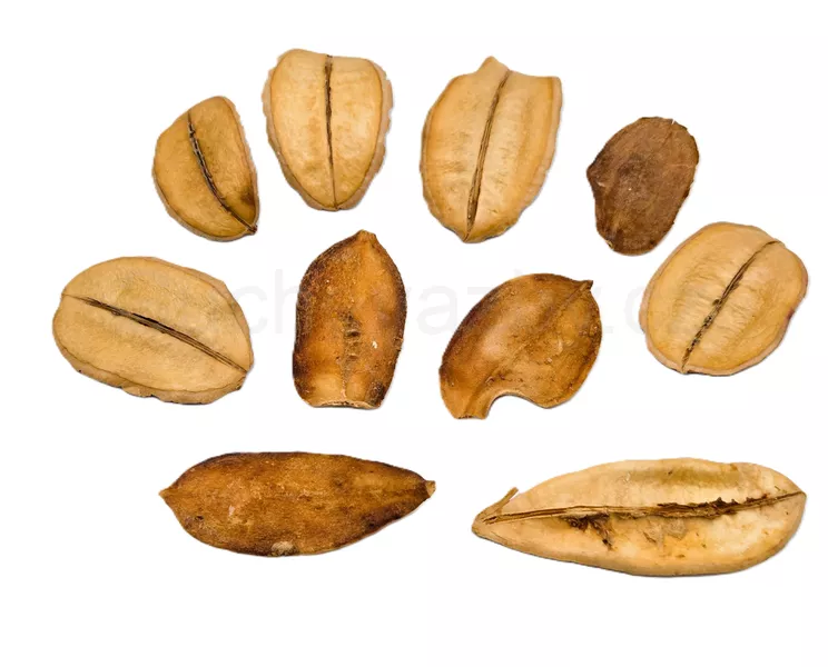 Asa barata natural 10ks