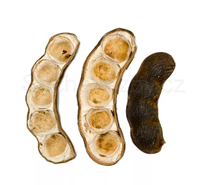 bean Olho Boi natural
