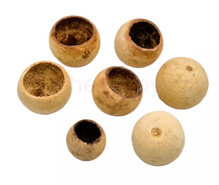 Bell cup mini natural