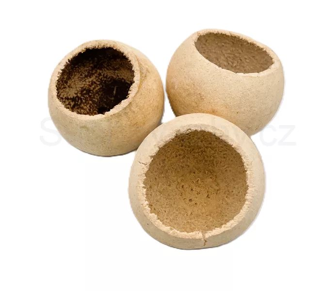Bell cup mini barvený