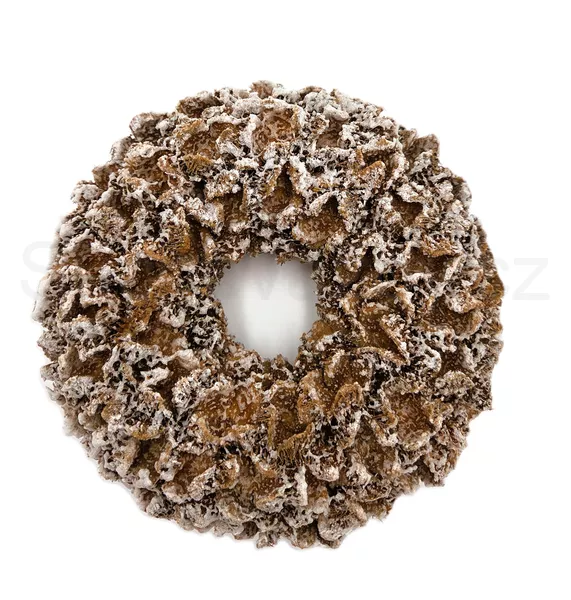 Věnec bukvicový zasněžený 20cm 
