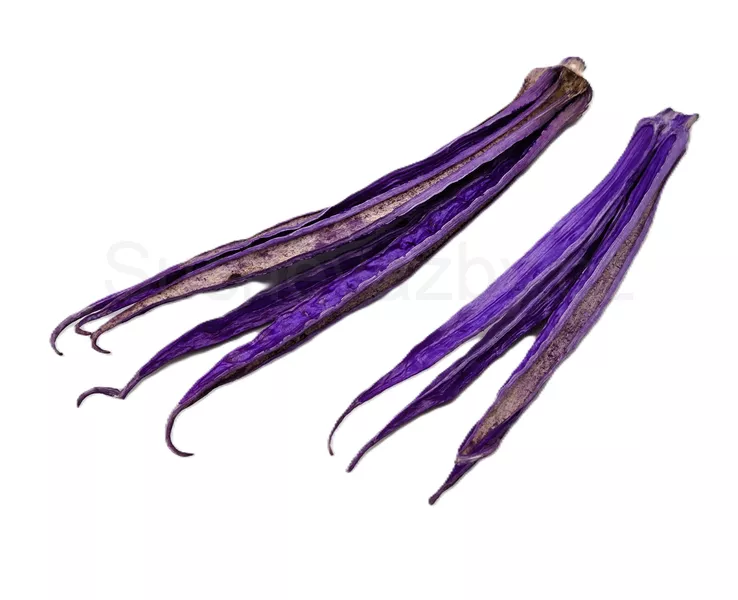 Lady fingers barvené