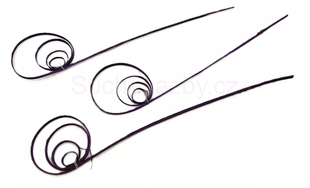 Cane circle mini 3ks