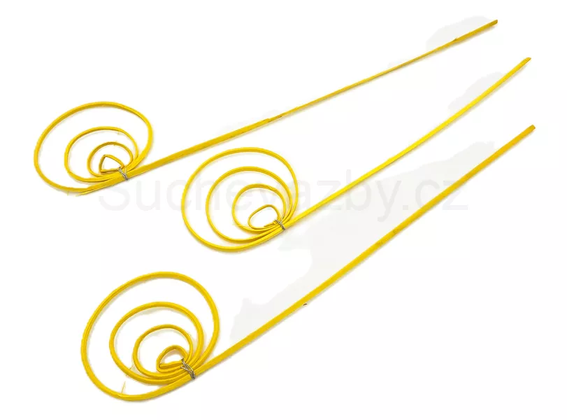 Cane circle mini 3ks