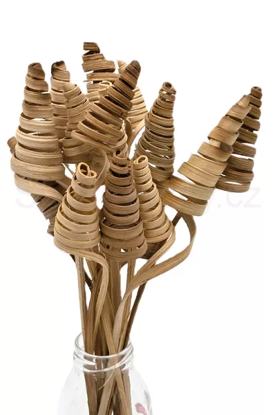 Cane cone mini přírodní 3ks