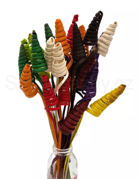 Cane cone mini 3ks