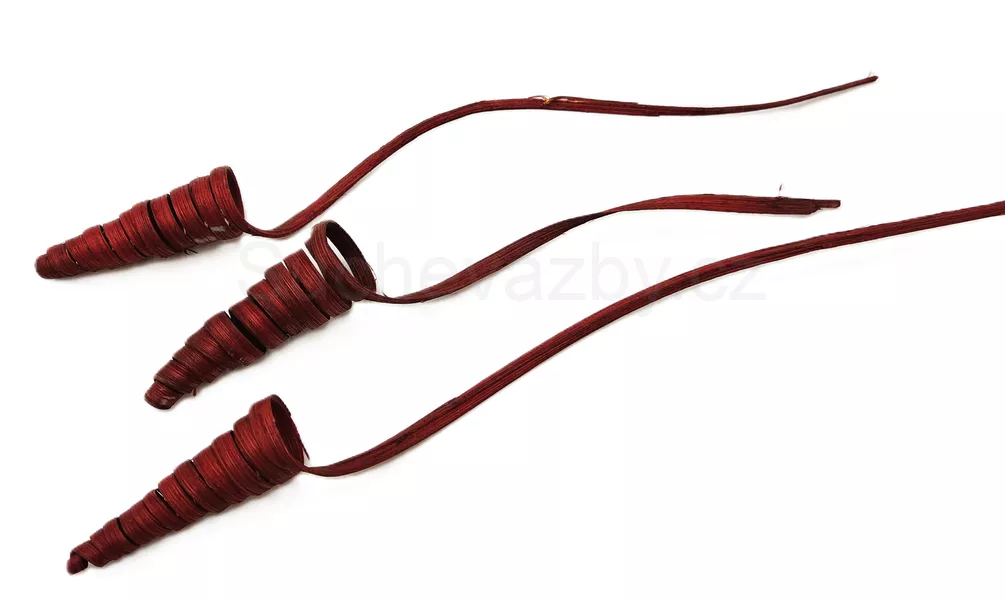 Cane cone mini 3ks