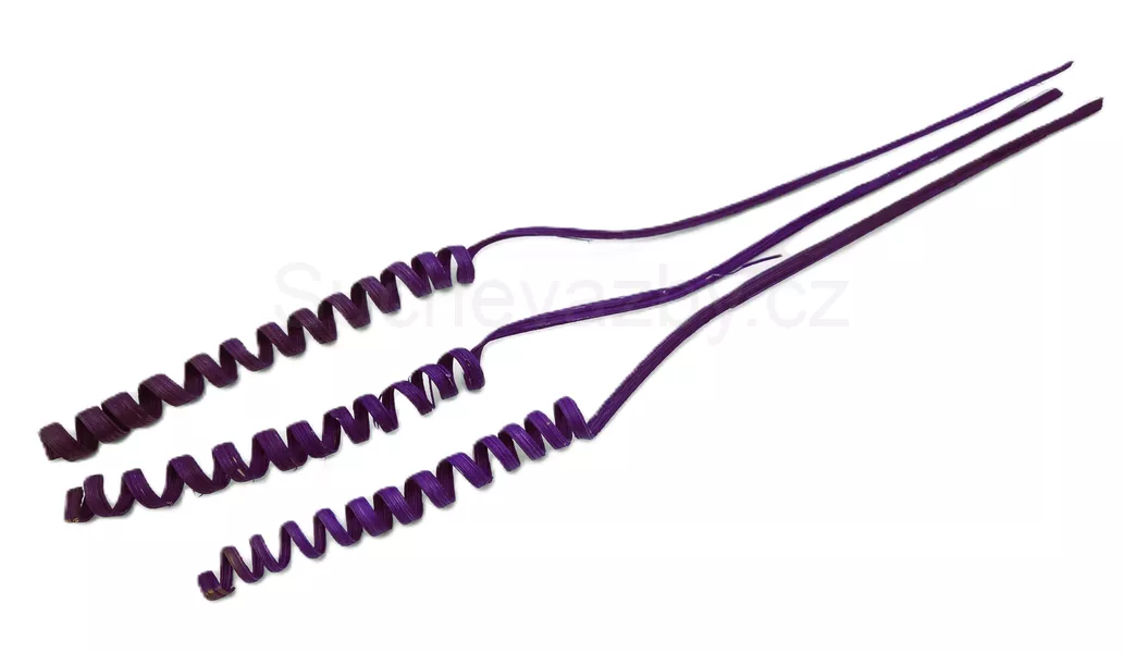 Cane spring mini 3ks