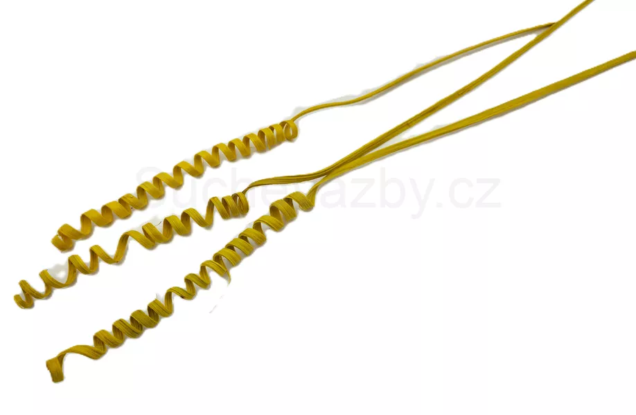 Cane spring mini 3ks