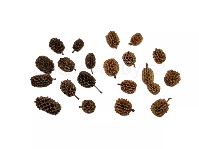 Casurina loose natural 10ks