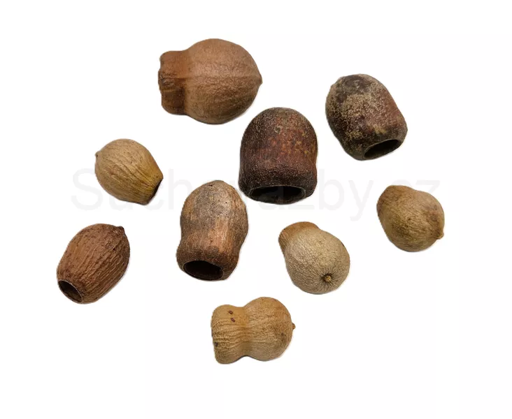 Eucalyptus belgum loose natural 5ks